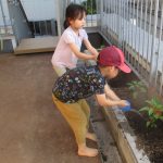 おいしくなーれ　　ほしぐみ（３・４・５歳児）
