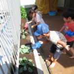 おおきくなーれ　ほしぐみ（３・４・５歳児）