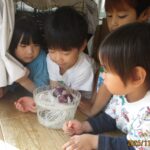 ねっこがのびてきたよ　　ほしぐみ（３・４・５歳児）