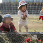 散歩楽しいな！のびのびぐみ（０・1歳児）