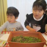 観察画をしたよ　いきいきぐみ（１・２歳児）