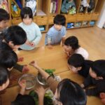 収穫したよ　わくわくぐみ（３・４・５歳児）